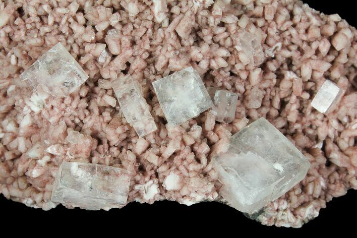 Apophyllite Crystals on Red Heulandite - India #102353
